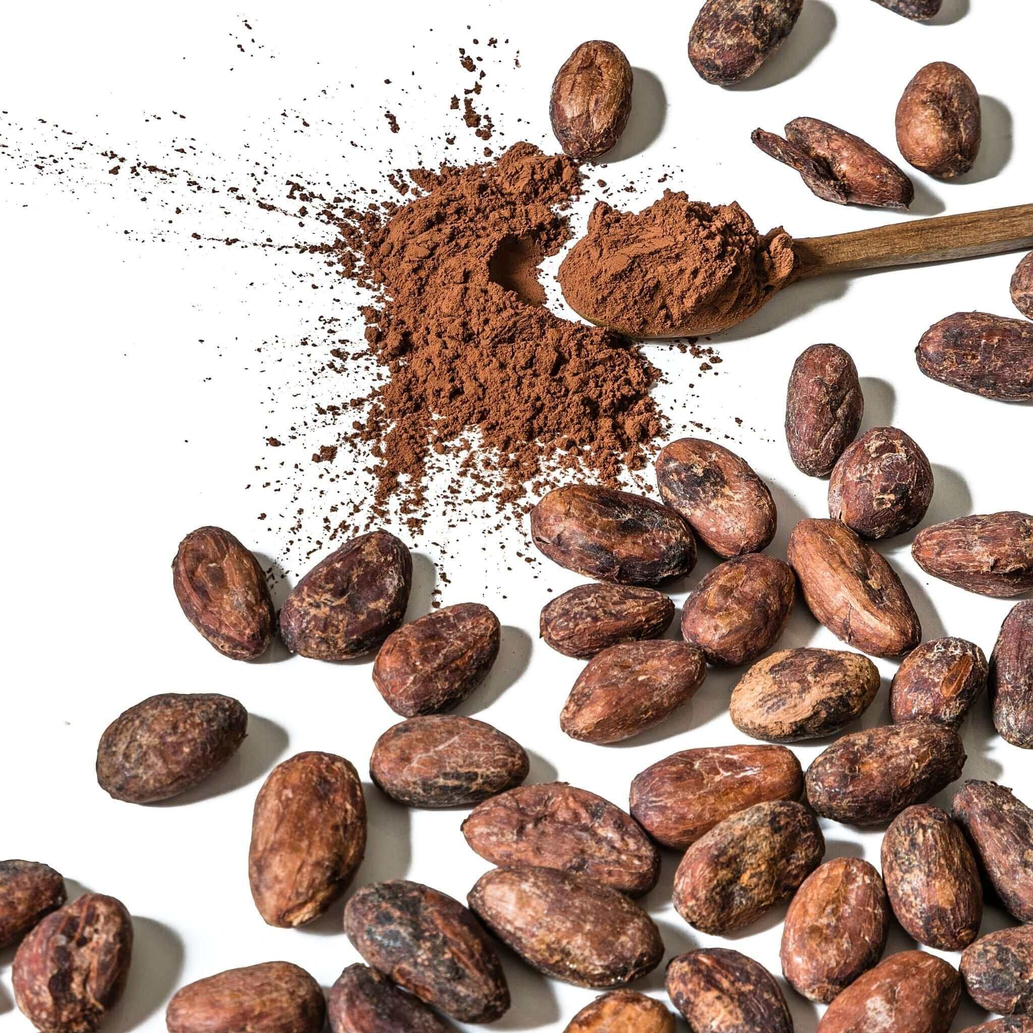 Cocoa soap ingredient